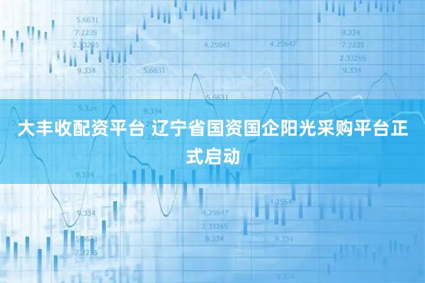 大丰收配资平台 辽宁省国资国企阳光采购平台正式启动