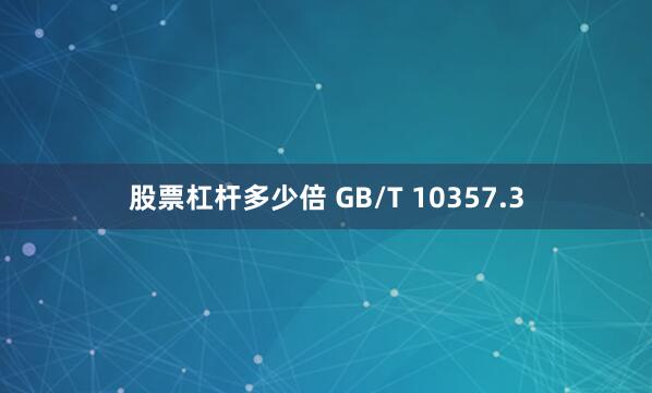 股票杠杆多少倍 GB/T 10357.3